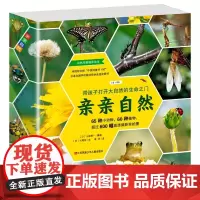 亲亲自然系列全套11册自然科学启蒙绘本图书3-6-12岁小学生一二三四年级课外阅读动物昆虫小百科全书儿童科普书籍自然科学