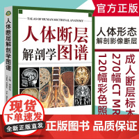 正版 人体断层解剖学图谱 刘树伟CT、MRI断层解刨影像彩色插图学习参考书 人体局部解剖学教程教材西医学书籍