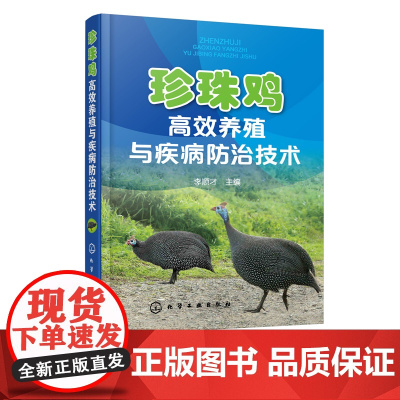 珍珠鸡高效养殖与疾病防治技术 李顺才 珍珠鸡山鸡养殖技术大全 珍珠鸡养殖 鸡病诊断治疗书籍 珍珠鸡饲养技术书籍 珍珠鸡疾