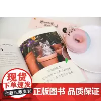 正版 猫是严师我是高徒 享受职场与生活的88个态度 张傲心理励志成功学所有你失去的都会以另一种方式归来 缓解成长焦虑迷茫
