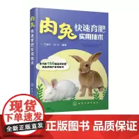 肉兔快速育肥实用技术