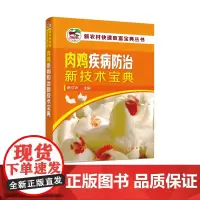 肉鸡疾病防治新技术宝典 陈立功 肉鸡 疾病 防治 技术 肉鸡养殖技术书 肉鸡常见疾病预防治疗方法教程 高效养鸡技术书籍