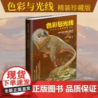 [店]色彩与光线 写实主义绘画指南插画光影技法艺考参考书绘画色彩光线光影技巧素描速写水彩绘画技法人民邮电出版社