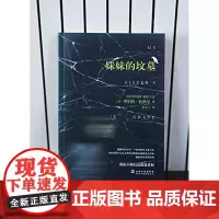 妹妹的坟墓 罗伯特·杜格尼 My sister's grave 悬疑小说