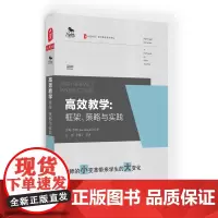 高效教学 框架 策略与实践 大夏书系 教师教育精品译丛 中国教育新闻网影响教师的100本书 正版图书教师读物 华东师范大