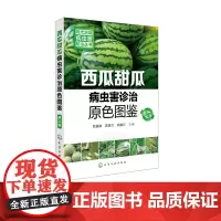 现代蔬菜病虫害防治丛书 西瓜甜瓜病虫害诊治原色图鉴 第二版 大棚西瓜甜瓜种植技术书籍 大棚种西瓜甜瓜栽培关键技术书籍