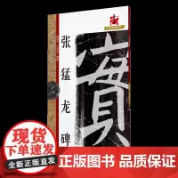 名碑名帖完全大观 张猛龙碑-魏碑魏楷毛笔软笔字帖原碑拓字放大初学者入门书法教程 江西美术出版社