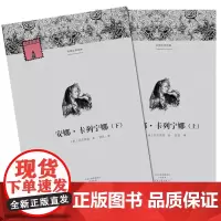 [出版社自营] 安娜·卡列宁娜(上、下) 外国文学经典 名家经典 列夫·托尔斯泰 著,智量 译 河南文艺出版社9