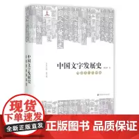 中国文字发展史 隋唐五代文字卷 精装附光盘 臧克和主编 语言文字学史史料 第四届中国出版政府奖(图书奖)正版 华东师大出
