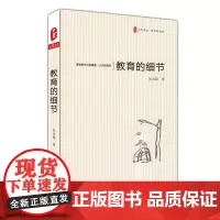 教育的细节 正版大夏书系教育新思考 周国平檀传宝李政涛刘铁芳名家图书 中小学教师教育工作文集 2015年度教师喜爱的10