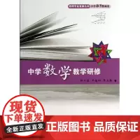 中学数学教学研修 教师专业发展丛书 中学数学教师卷 正版图书 华东师范大学出版社