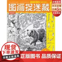 图画捉迷藏·高阶卷钻石版(全新的内容,来自美国,绝对疯狂)北科技 正版