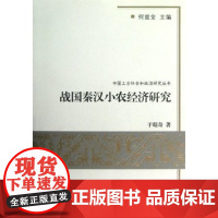 中国上古社会和政治研究丛书:战国秦汉小农经济研究 于琨奇 商务