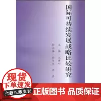 国际可持续发展战略比较研究 商务印书馆