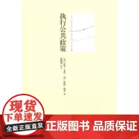 执行公共政策 (英)希尔,(荷)休普 著,黄健荣