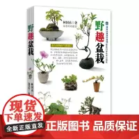 [店][店] 野趣盆栽 台湾 林国承 栽培 养护 取材 繁殖 观赏 种草养花 园艺 草本植物 蕨类植物 爬藤植物 木本