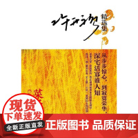 [正版]正版新书 许开祯精选集——《菜子黄了》 小说集 到头来,谁不是身世可怜又内心畸变