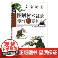 [店] 图解树木盆景制作与养护 盆景入门教程书 盆景制作技巧参考书 树木盆景造型艺术书 盆景养护管理书籍