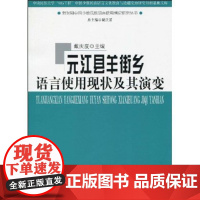 元江县羊街乡语言使用现状及其演变 戴庆厦 商务印书馆