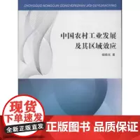 中国农村工业发展及其区域效应 杨晓光 商务印书馆