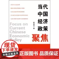 当代中国经济政策聚集 顾建光 商务印书馆