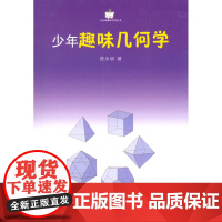 少年趣味几何学/小企鹅趣味科学丛书 陈永明 商务印书馆