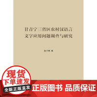 甘青宁三省区农村汉语言文字应用问题调查与研究 赵小刚 商务印书