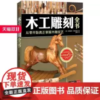 木工雕刻全书 从零开始真正掌握木雕技艺 木工技艺 北京科学技术