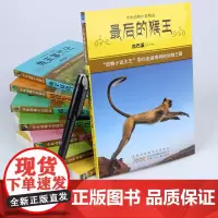 第四辑 沈石溪动物小说精品全套8册 沈石溪的书全系列 中外动物小说三四五六七年级课外阅读书籍儿童故