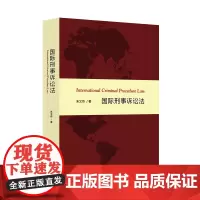 国际刑事诉讼法 朱文奇 商务印书馆