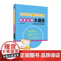 正版 小企业主要经济业务账务处理大通关(小企业会计准则版)