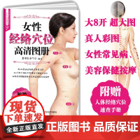 [店]8开 女性经络穴位高清图册(穴位大图说系列)穴位图人体经络穴位图穴位按摩书养生书籍 女性经络穴位按摩大全