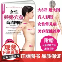 [店]8开 女性经络穴位高清图册(穴位大图说系列)穴位图人体经络穴位图穴位按摩书养生书籍 女性经络穴位按摩大全