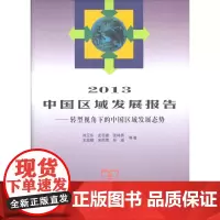 2013中国区域发展报告:转型视角下的中国区域发展态势 刘卫东,龙花楼,张林秀,王娇娥,宋周莺,孙威 等著 商务