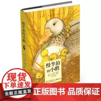 慢半拍的小鹅 博洛尼亚国际儿童书展图画书奖 平装图画书 6-12岁孩子情商培养卡通绘本 小学生课外读物 童话故事书籍