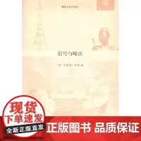 信号与噪音:尼日利亚的媒体、基础设施与都市文化(媒体人类学译丛) [美]布莱恩·拉金 商务印书馆