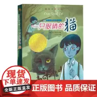 国际大奖小说--一只眼睛的猫