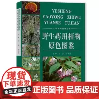 分区正版野生药用植物原色图鉴刘勇罗光明