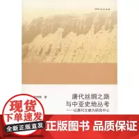唐代丝绸之路与中亚史地丛考:以唐代文献为研究中心(欧亚备要) 许序雅 商务印书馆