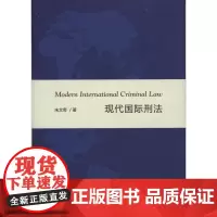 现代国际刑法 朱文奇 商务印书馆
