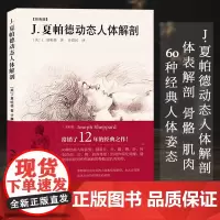 J.夏帕德动态人体解剖彩色版 理解人体形态 人体骨骼肌肉解剖实用人体素描速写人物基础技法教程人体速写临摹 零基础美术入门