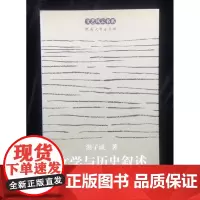 文学与历史叙述/文艺风云书系河南大学出版社