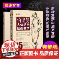 [全新版本]伯里曼人体结构绘画教学 第3版 人物素描速写大师临摹基础入门提高技法教程人体解剖艺考用书籍教材理解人体形态