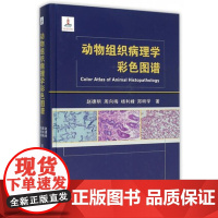 动物组织病理学彩色图谱 赵德明 周向梅 杨利峰 郑明学主编 9787565513374