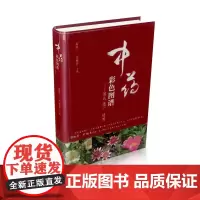中药彩色图谱——速认 速记 速用 山西科学技术出版社正版医学工具书