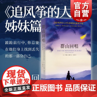 群山回唱 胡塞尼 追风筝的人 灿烂千阳 关于背叛流亡 自我牺牲和亲情力量的传奇 找回丢失的那部分自己 上海人民 世