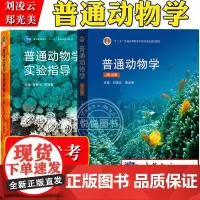刘凌云 北师大 普通动物学 第四版第4版 郑光美 高等教育出版社 刘凌云普通动物学第4版 普通动物学教程 大学生物科学教