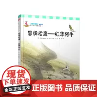 冒牌老鹰:红隼老吹(幼儿科学故事绘本) 李民等译 复旦大学出版社 图书籍