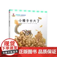 小橡子长大了(幼儿科学故事绘本) 李民等译 复旦大学出版社 图书籍