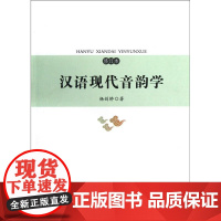 汉语现代音韵学 修订本 杨剑桥 复旦大学出版社 汉语音韵学的现代研究史 汉语言文字学汉语史文字音韵训诂专业学习研究重要参